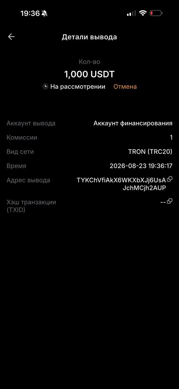 Transfer of 1,000 USDT (TRC20) to the address he gave, 23 Aug 2026 19:36. The screen (exchange app, in Russian) reads: Withdrawal details · Amount 1,000 USDT · Pending · Withdrawal account: Funding account · Fee 1 · Network: TRON (TRC20) · Time 2026-08-23 19:36:17 · Withdrawal address TYKChVfiAkX6WKXbXJj6UsAJchMCjh2AUP · Transaction hash (TXID): —